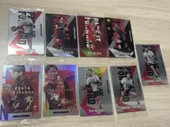 JAPAN NATIONAL VOLLEYBALL TEAM ツインウエハース