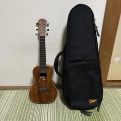 Item thumbnail for item 5ea2f590-ef43-4d71-b38d-db07a8734447