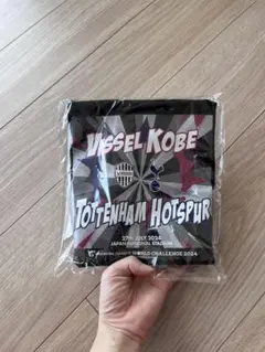 Item thumbnail for item 16e741a3-727c-4e6c-99c4-9d106f0da74c