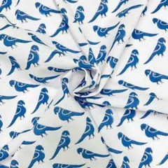 【2m/商用可】インド産ハンドブロックプリント生地 NHB077 カラス