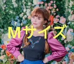 Mサイズ レディース　テレコプルオーバー（kaho/Disney）アナ雪