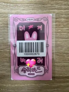 straykids FANS ラキドロ リアルタッチ フォトカード チャンビン