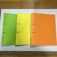 Item thumbnail for item b48181fd-ef06-4f98-8f55-fea25e905f3e