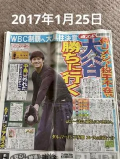 永久保存>日本ハムファイターズ 2015年 日程表&選手名鑑 大谷翔平