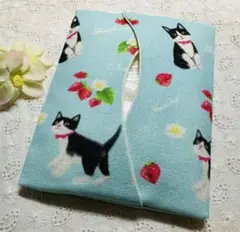 Item thumbnail for item dc985209-f8bc-493b-9113-156cc481188b