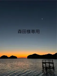 Blue Moon様専用】中山美穂写真L、2Lサイズ 32枚 - メルカリ