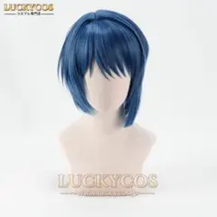 プロジェクトセカイ カラフルステージ! feat. 初音ミク 桐谷遥 ウィッグ