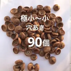レッドオーク どんぐり帽子 極小〜小サイズ 穴あき 90個写真の品