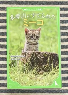 Item thumbnail for item 89ac5269-3cf8-4698-87dd-89f21533a2fa