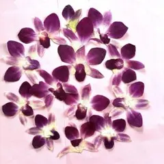 Item thumbnail for item f60766bc-652b-4676-bad5-a392562db4c1