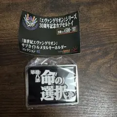 エヴァンゲリオン サブタイトル メタルキーホルダーコレクション02