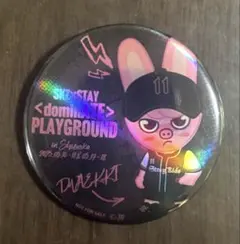 straykids チャンビン　トゥエッキ　skzoo ホログラム缶バッジ