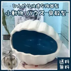 Item thumbnail for item ca577977-0c30-4739-a2e2-bde2e654bf7f