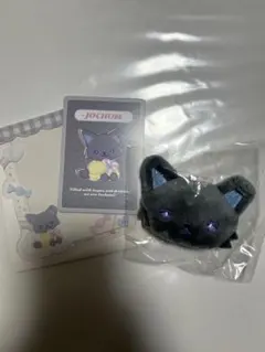 JOCHUM ジェオチャム 硬質ケース ブローチ ピーハイ