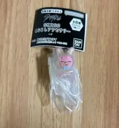 straykids skzoomめじるしアクセサリー　トゥエッキ