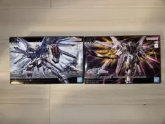 HG ライジングフリーダム マイティーストライクフリーダム 2体セット