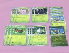 ケムッソ カラサリス アゲハント マユルド ドクケイル セット ミラー