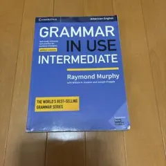 GRAMMAR IN USE INTERMEDIATE