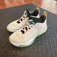 珍しい美中古！ NIKE JORDAN LUKA 1 next nature