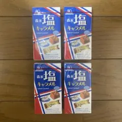 【森永製菓】森永　塩キャラメル 12粒　4箱のサムネイル