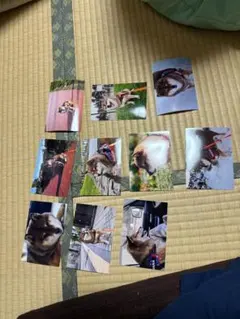 あずはな　コンビニプリントブロマイド