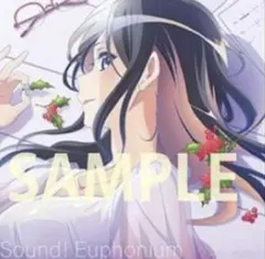 劇場版 響け！ユーフォニアム 京アニショップ 限定特典付き前売券 入場
