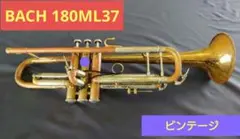 2026年最新】BACH 180MLの人気アイテム - メルカリ