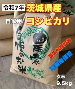 令和7年収穫、新潟県産、コシヒカリ、玄米15kg - メルカリ