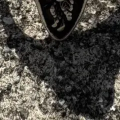 j*長様 超希少16号 メキシカンリング バイカーリング 50s 60s vin