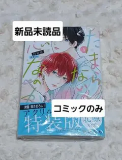 たまらないのは恋なのか　５巻　空華みあ　コミック　別冊フレンド　新刊　北原