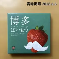 匿名配送 博多ぱいおう 伊都きんぐ 福岡限定 パイ菓子 16個
