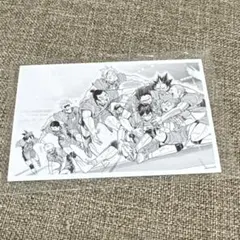 ハイキュー 10th クロニクル 思い出スナップフォトカード 烏野 集合 春高