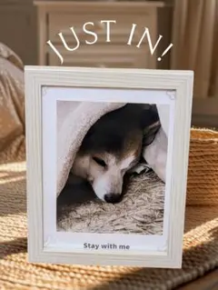 メッセージ付き木製フォトフレーム