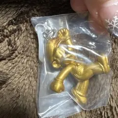 スーパーマリオ めじるしアクセサリー シークレット