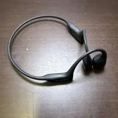 ryuさん専用）Shokz OpenRun Pro(S810)収納ケース付き - メルカリ
