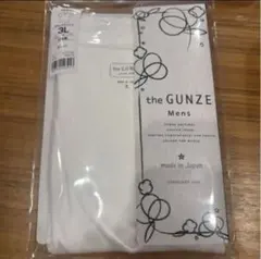 グンゼ　メンズ Vネックシャツ 3L ホワイト
