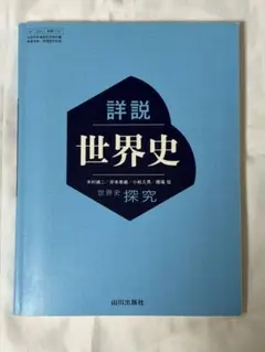 書き込み等無し　詳細世界史 探究 山川出版社