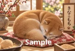 きなこもち 柴犬 デジタルアート イラスト ポストカード