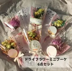 *❀·✳:春色ドライフラワーミニブーケ·*❀✲6点セット 母の日にも