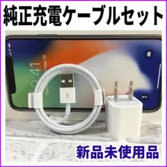 新品未使用品 iPhone 純正 充電器セット ライトニングケーブル 正規品