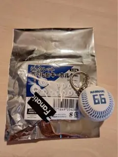 ファイターズ シークレットボール型キーホルダー 66 万波中正