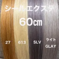 シールエクステ 60 カラーエクステ - メルカリ
