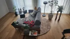 ラグ 円形 洗える おしゃれ 滑り止め 低反発 MS-305 190cm 丸