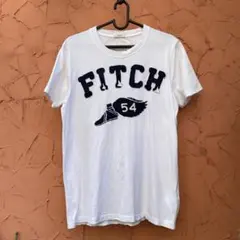 高級旗艦店限定全盛期新品ABERCROMBIE & FITCH 総刺繍Tシャツ