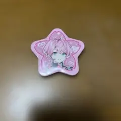 STPR文化祭 缶バッジ てるとくん