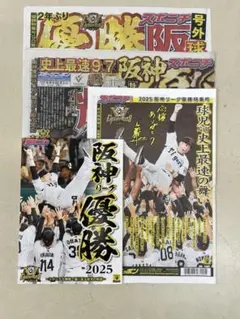 阪神タイガース 2025年リーグ優勝記念特集４点セット