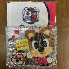 Item thumbnail for item 2132bc2d-558c-4148-834d-340981e6fd87