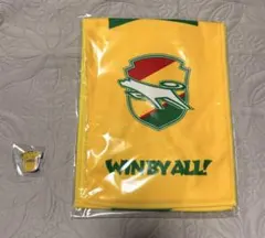 ジェフユナイテッド グッズセット タオル、ピンズ