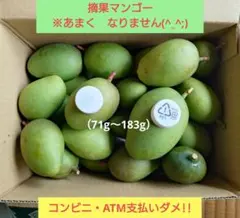 大摘果マンゴー 4.8kg - メルカリ