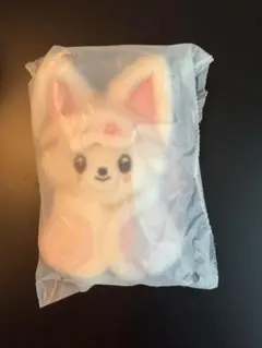 スキズ ペンミ StrayKids アイエン 10cm フォクシニー 10センチ